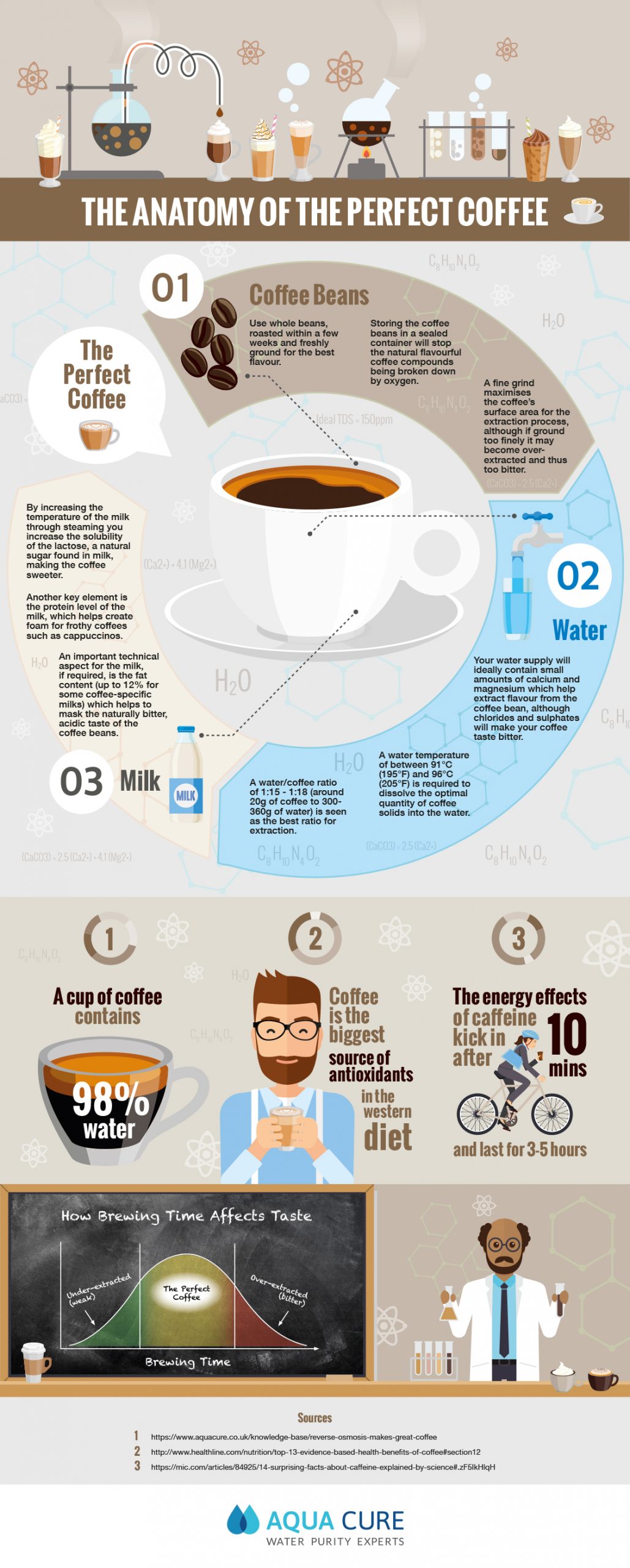 Infographic The Anatomy of The Perfect Coffee